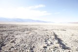 Desolate Beauty