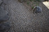 Zen Garden with Gravel and Natural Stone Elements
