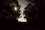 Nightscape Serenity - First Camping Adventure in Presidio 2023