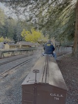 Vintage Railroad Car Journey Through Forest