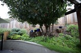 Terraced Garden with Tree Stumps and Blue Pottery