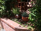 Garden Oasis