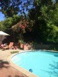Relaxing Day by the Pool