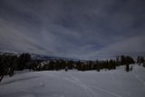 Winter Wonderland
