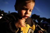 A Bite of Summer: Young Boy Enjoying a Hotdog