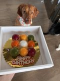 Temptation on a Plate