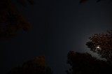Moonlit Starry Night Over Lassen's Volcanic Forest