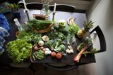 Farm Fresh Produce on Display