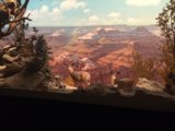 Wildlife Display with Majestic Canyon View