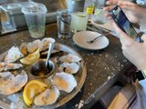 Oysters on a Plate