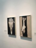 Dual Display of Modern Art