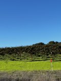 Stop and Admire the Countryside