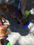 Refreshing Break