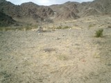 The Vast Wilderness of the Desert