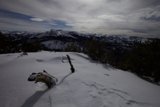 Winter Wonderland