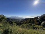 Golden Morning Over Berkeley: A Vista of Serenity