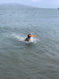 Fun in the Sun