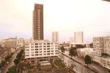 Skyline in the Urban Jungle