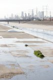 City Skyline vs Flood Water