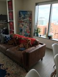Canine Comfort in the Living Room