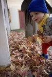 Wesley's Autumn Adventure in Downtown Sonoma