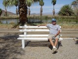 Desert Oasis Rest Stop with Palm Trees