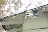 Weather-Worn Birdhouse Home