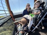 High Above the Trees