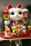 Feline Gathering