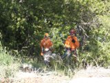 Two Men Cycling Through the Forest