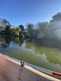 Serene Sailing on Strawberry Hill Lake