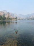 Doggy Paddle in Susie Lake