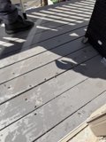 Sunlit Shadows on the Deck