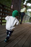 Big Sur Adventure: Wesley's Exploration