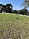 Enjoying Nature at Alamo Square