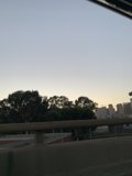 Metropolis in Motion