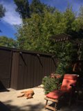 Backyard Buddy