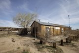 Desert Hut