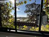 Vineyard Vista