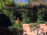 Relaxing in the Garden