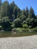 Kayaking Adventure on the Russian River