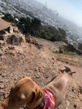 City Overlook
