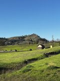 A Picturesque Countryside View