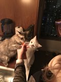 Feeding Time