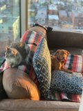 Urban Cozy Comfort