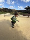 Exploring the Path Ahead