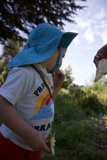 Nature's Innocence: Earth Day Celebrations