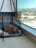 Trapped
