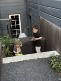 Urban Jungle Adventure
