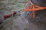 Strong Knot